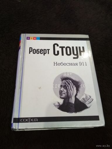 Небесная 911