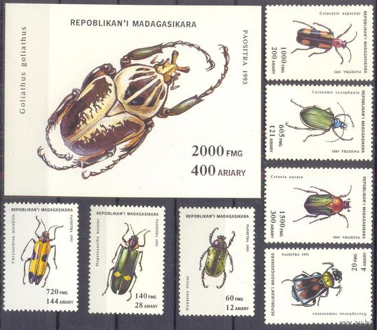 Мадагаскар фауна насекомые