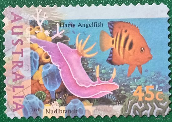 Австралия 1995. Морская фауна