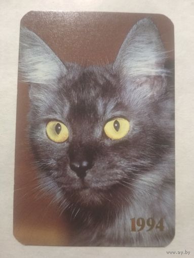 Карманный календарик. Котик.1994 год