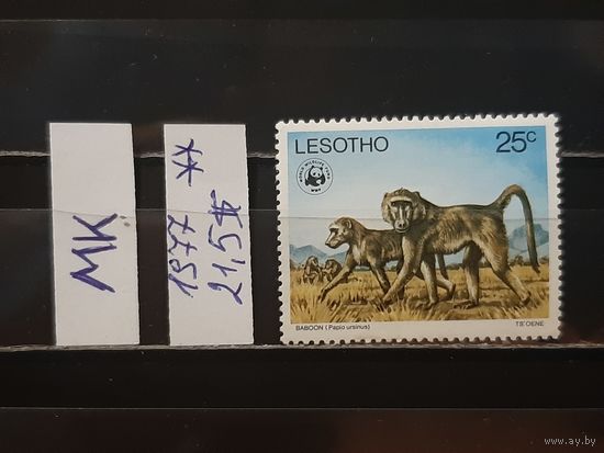 ЛЕСОТО 1977г. Чист**
