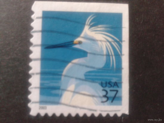 США 2003 стандарт, птица