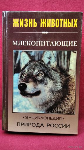 И.Я. Павлинов Природа России: жизнь животных. Млекопитающие (хищные, копытные)