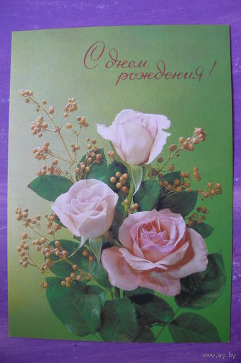 Дергилев И.(фото),  С днем рождения! 1991, 1992, чистая.