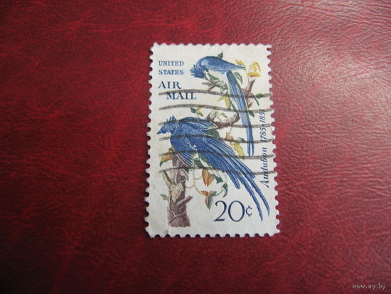Марка Колумбийская сойка. Авиапочта. 1967 год США