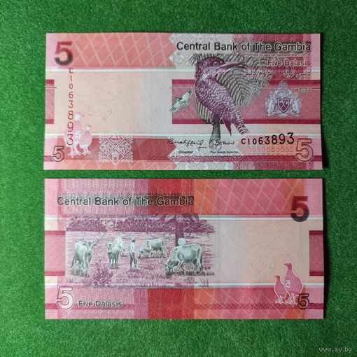 Гамбия 5 даласи 2023 UNC