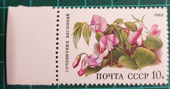 1988 Лесные цветы СССР