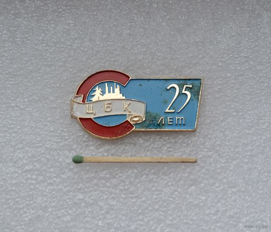 ЦБК (Целлюлозно-бумажный комбинат). 25 лет.