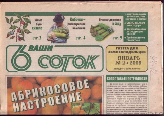 6 соток 2-2009