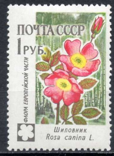 Флора СССР 1960 год 1 марка