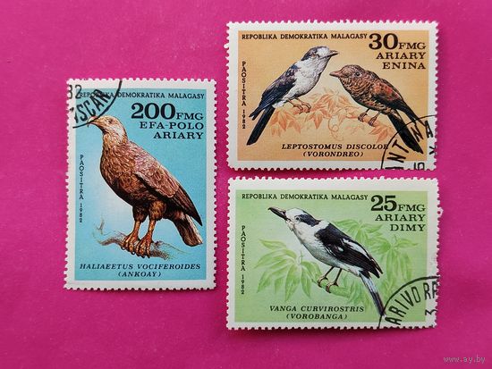 Мадагаскар. Птицы. ( 3 марки ) 1982 года. 8-7.