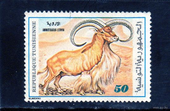 Тунис.Ми-988. Барбэри Овцы (Ammotragus LERVIA) Серия: Флора и фауна.1980.
