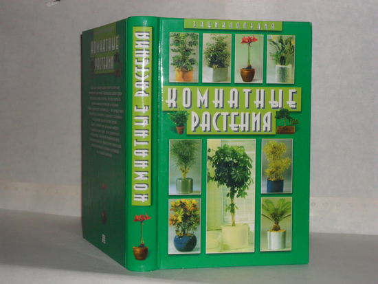 Рокош Е. В. Комнатные растения. Энциклопедия.