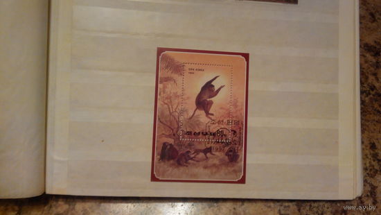 Обезьяны, фауна, блок, КНДР, 1992