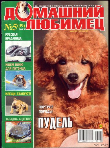 Домашний любимец #39