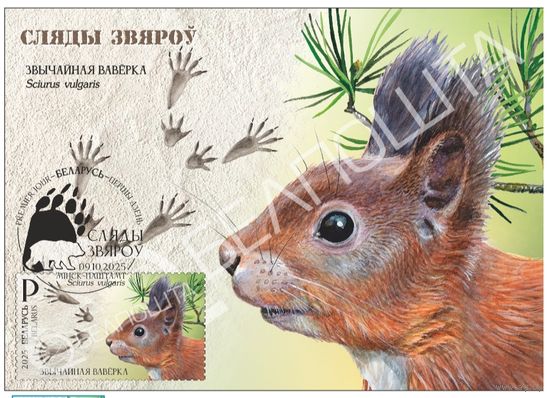 Картмаксимум "Белка" Следы зверей.