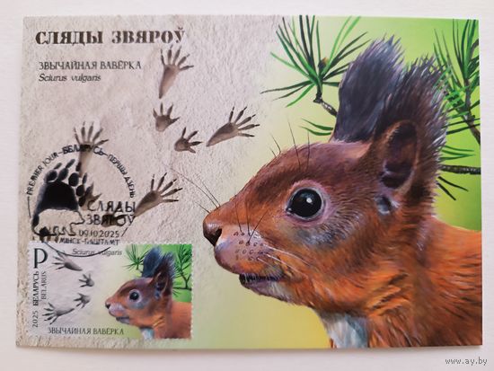 Картмаксимум "Белка" Следы зверей.