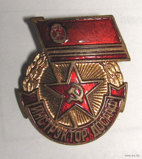 Инструктор ДОСААФ. Разновидность с круглой заколкой.
