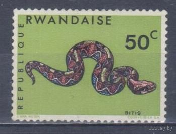 [136] Руанда 1967. Фауна.Рептилии.Змеи.Гадюка. MNH