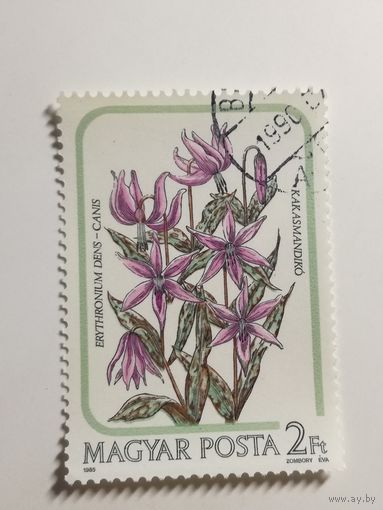 Венгрия 1985. Флора. Цветы. Лилии