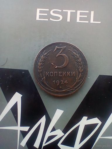 3 копейки 1924 года домашняя