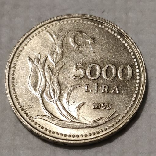 Турция 5.000 лир, 1993 (14-2-19)