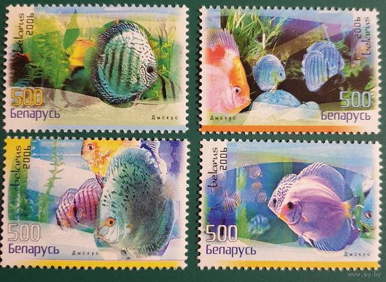 2006 Аквариумные рыбы - Дискус Беларусь