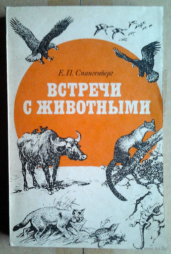 Встречи с животными