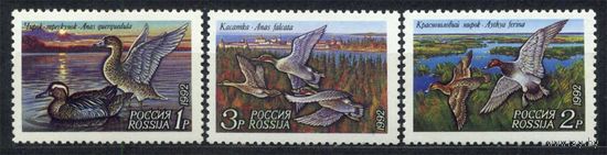 Фауна. Утки. Россия. 1992. Полная серия 3 марки. Чистые