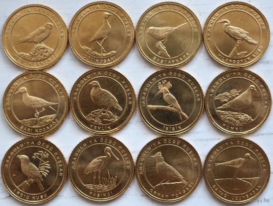 Турция Набор 12 монет 1 куруш 2021 год "Анталийские птицы"