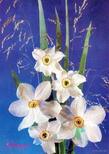Открытка. 8 Марта. 1990.