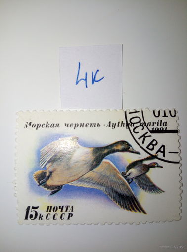 Марки СССР 1991 г. морская Чернеть 15к.