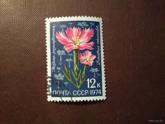 СССР 1974 г.Гвоздика разноцветная./24а/