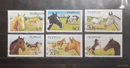 Филиппины. Фауна. Лошади (1192)