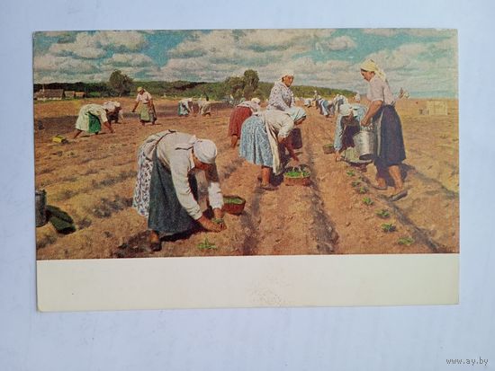 1952.соцреализм. Кугач. На огороде