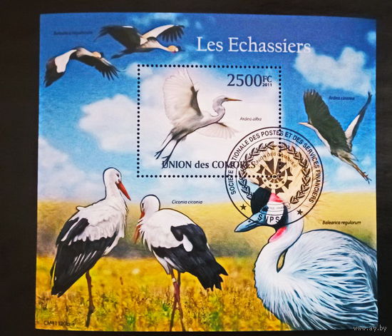 ЛИСТ ФАУНА ПТИЦЫ  СТО