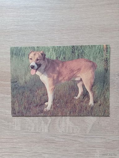 Календарик 1993