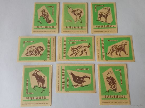 Спичечные этикетки ф. 1 Мая. Фауна Кавказа. 1962 год