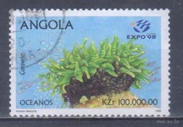 [2455] Ангола 1998. Морская фауна.Кораллы и другие. Гашеная марка.