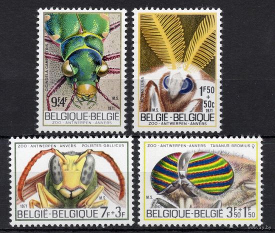 Бельгия 1971. Фауна. Насекомые 4 марки