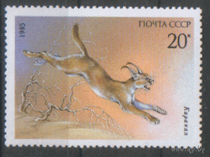 З. 5592. 1985. Каракал. ЧиСт.