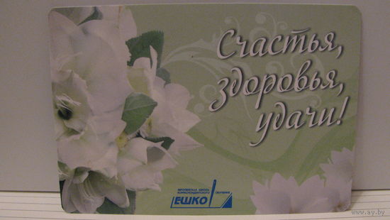 Карманный календарик. ЕШКО. 2011 год