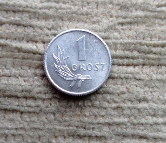 Werty71 Польша 1 грош 1949 Блеск