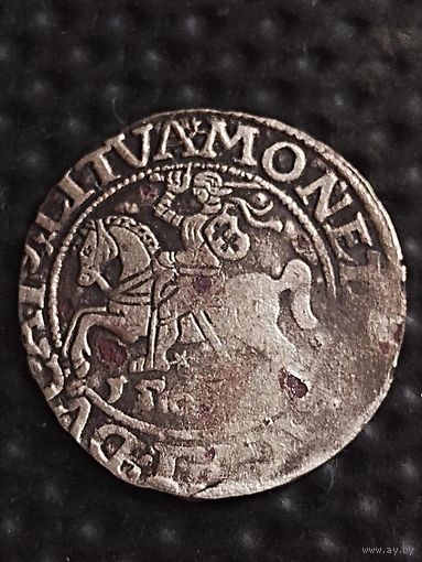 Полугрош 1565 г. Сигизмунд II Август, без мц.