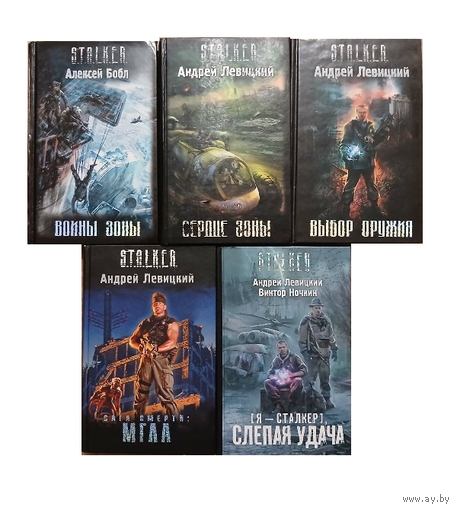 Книги из межавторского цикла "Химик и Пригоршня" (комплект 5 книг, серия "S.T.A.L.K.E.R.")
