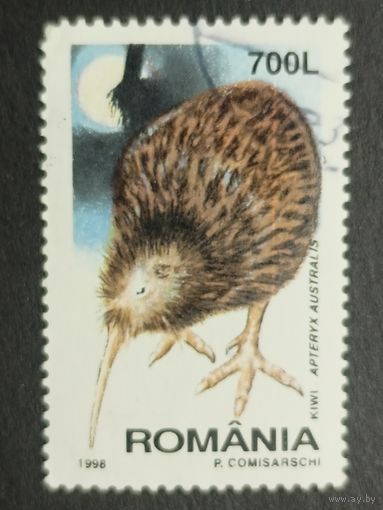 Румыния 1998. Ночные птицы. Южный киви