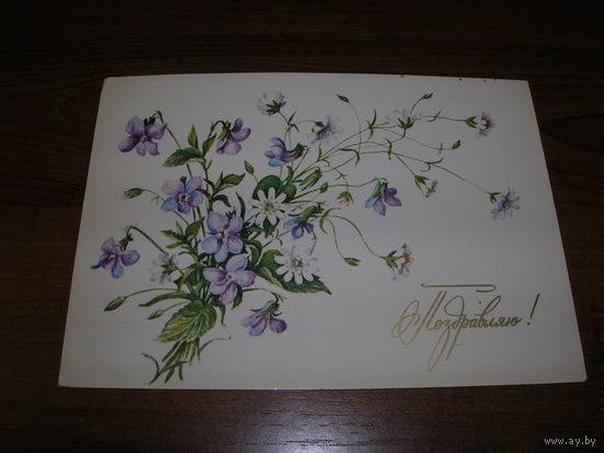 Поздравляю Цветы Госиева 1984 год Чистая