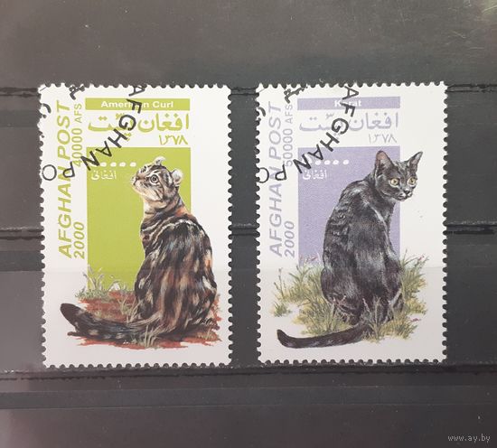 Афганистан. 2000 год. Фауна. Кошки (2 марки из серии)
