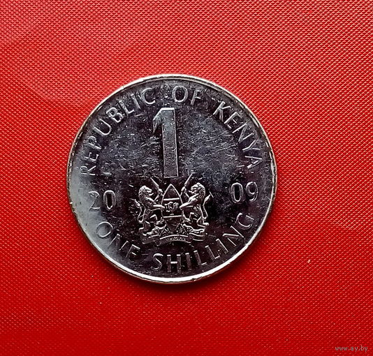 21-06 Кения, 1 шиллинг 2009 г.