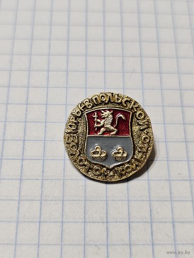 Значок ,,Золотое кольцо Юрьев Польской'' СССР.
